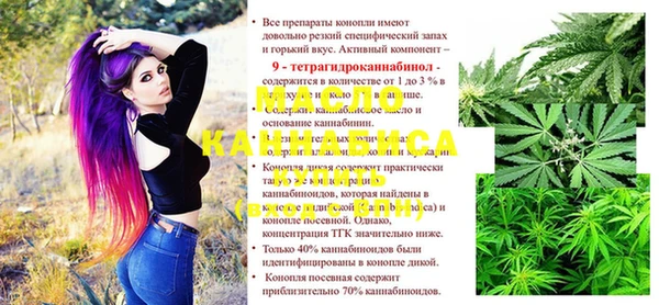 ешки Надым