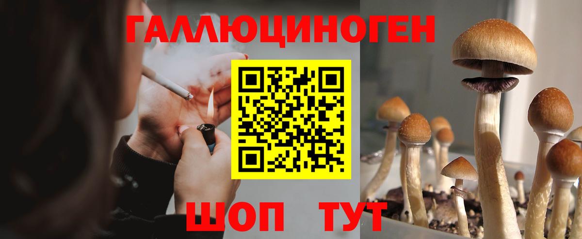 Пушкино  Псилоцибиновые грибы Psilocybe  Вход с VPN 